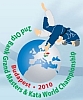 Grand Masters Kata World Championship Budapest